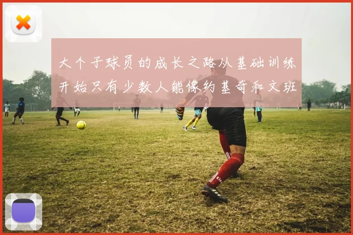 大个子球员的成长之路从基础训练开始只有少数人能像约基奇和文班那样成功