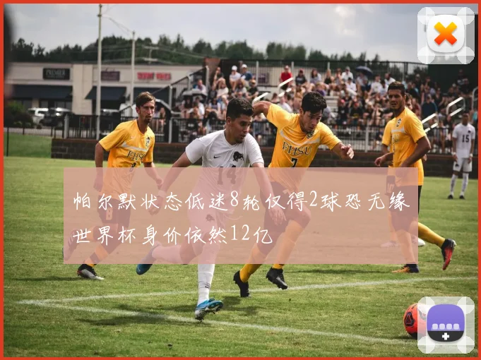 帕尔默状态低迷8轮仅得2球恐无缘世界杯身价依然12亿
