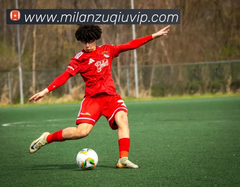 多媒体互动体验